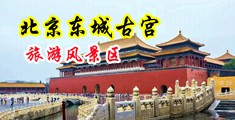 男女搞B视频中国北京-东城古宫旅游风景区